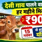 Desi Cow Subsidy: देसी गाय पालने वालों को हर महीने मिलेंगे ₹900, 15 नवंबर से शुरू होगी योजना