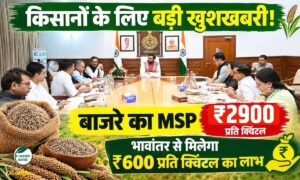 किसानों के लिए बड़ी खुशखबरी! बाजरे का MSP ₹2900, भावांतर से मिलेगा ₹600 प्रति क्विंटल का लाभ