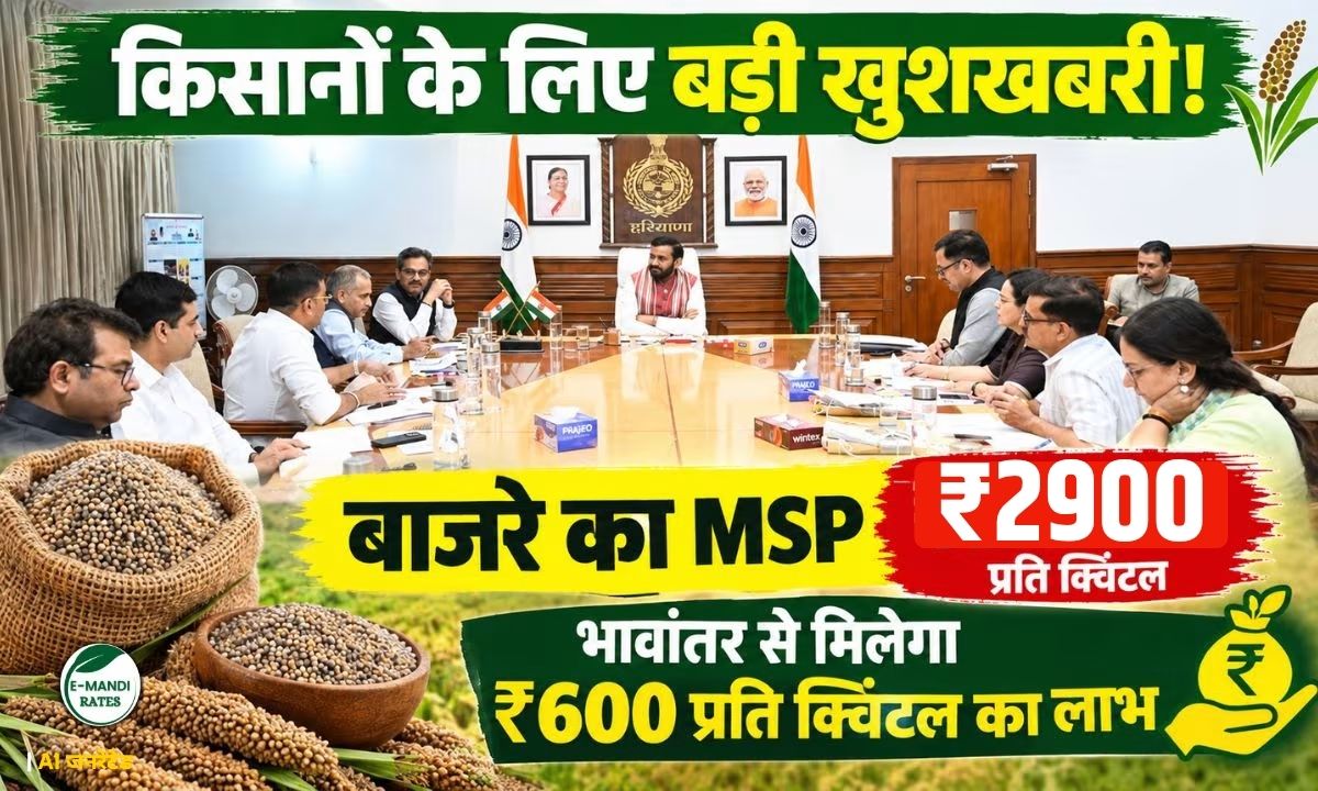 Haryana Paddy Bajra Procurement