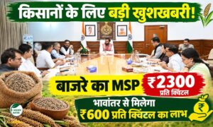 किसानों के लिए बड़ी खुशखबरी! बाजरे का MSP ₹2900, भावांतर से मिलेगा ₹600 प्रति क्विंटल का लाभ