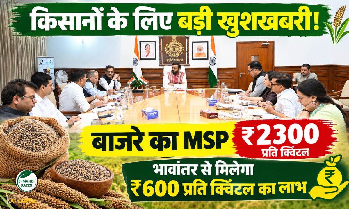 Haryana Paddy Bajra Procurement