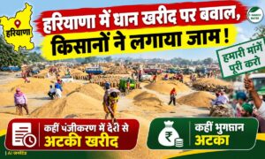 हरियाणा धान खरीद पर किसान नाराज… पंजीकरण में देरी से अटकी खरीद