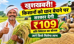 Paddy Bonus: धान पर ₹109 प्रति क्विंटल का बोनस देगी सरकार, जानें किसे मिलेगा लाभ