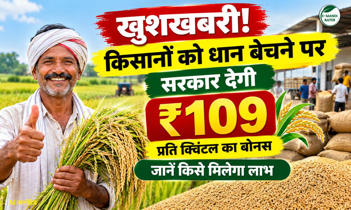 Jharkhand Paddy Procurement Bonus Per Quintal