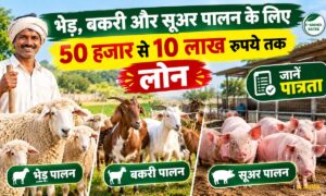 भेड़-बकरी और सूअर पालन के लिए ₹10 लाख तक लोन कैसे लें? जानें पात्रता और आवेदन की प्रक्रिया