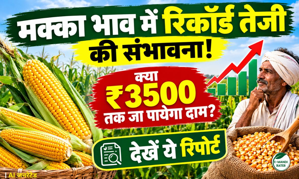 Makka Ka Bhav