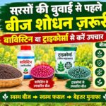 सरसों की बुवाई से पहले बीज शोधन ज़रूरी, बाविस्टिन या ट्राइकोर्मा से करें उपचार