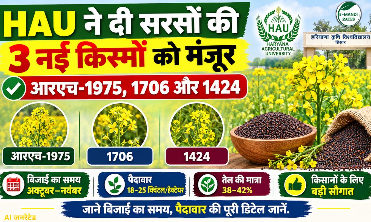 Mustard New Varieties