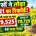 सरसों ने तोड़ा 2021 का रिकॉर्ड! सलोनी प्लांट पर भाव ₹9,525... जयपुर में ₹8,725 पर पहुंचा, देखें ताज़ा रिपोर्ट