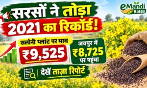 सरसों ने तोड़ा 2021 का रिकॉर्ड! सलोनी प्लांट पर भाव ₹9,525… जयपुर में ₹8,725 पर पहुंचा, देखें ताज़ा रिपोर्ट