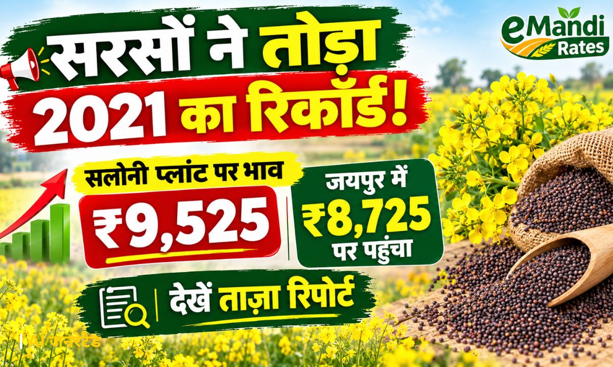 Mustard price breaks 2021 record