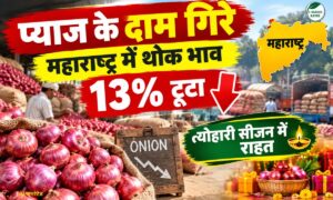 प्याज के दाम गिरे, महाराष्ट्र में थोक भाव 13% टूटा… त्योहारी सीजन में राहत