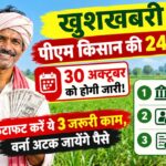 पीएम किसान की 24वीं किस्त 30 अक्टूबर को होगी जारी! फटाफट करें ये 3 जरूरी काम, वर्ना अटक जायेंगे पैसे
