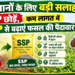 किसानों के लिए बड़ी सलाह: DAP छोड़ें, कम लागत में SSP से बढ़ाएं फसल की पैदावार