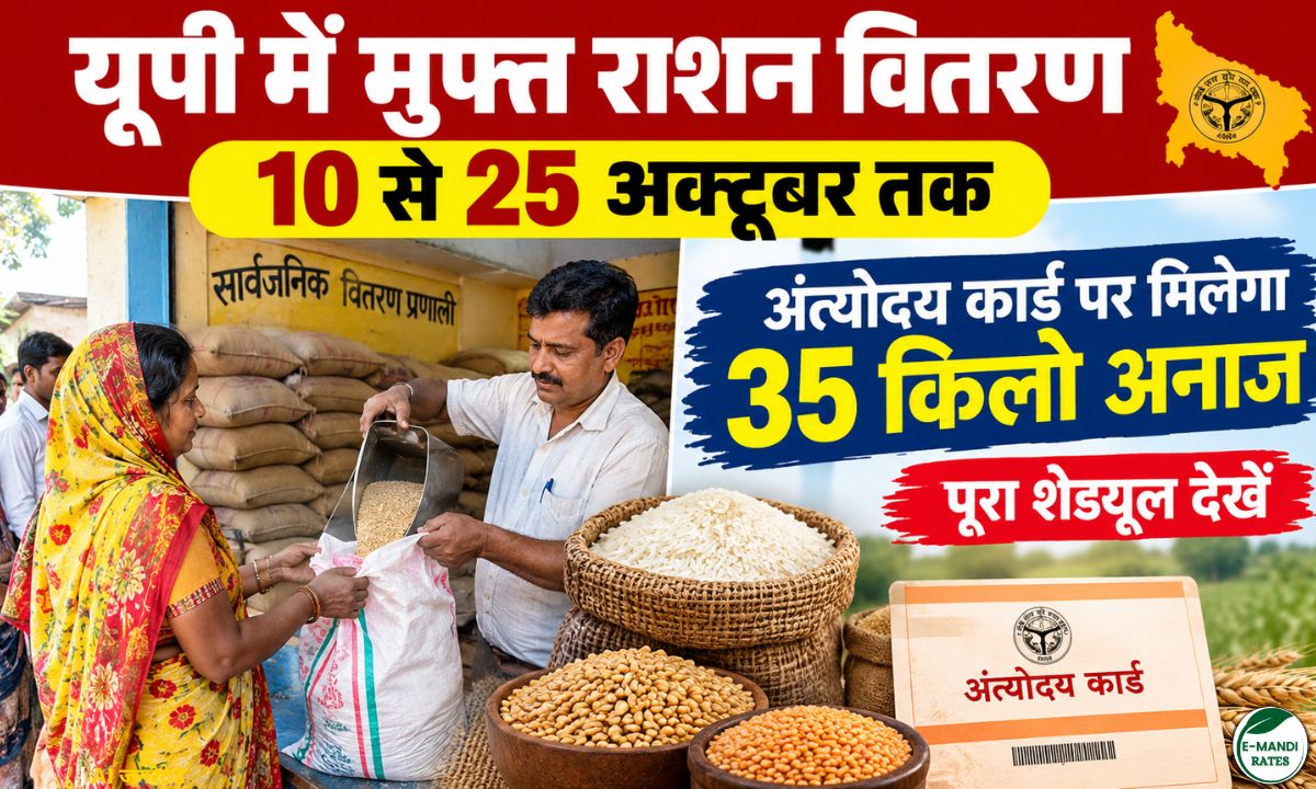 UP Free Ration Distribution