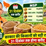यूपी में ज्वार, बाजरा और मक्का की सरकारी खरीद 31 दिसंबर तक, 48 घंटे में भुगतान के आदेश