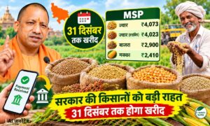 यूपी में ज्वार, बाजरा और मक्का की सरकारी खरीद 31 दिसंबर तक, 48 घंटे में भुगतान के आदेश
