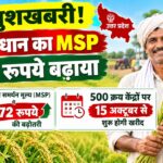 खुशखबरी! यूपी में धान का MSP 72 रुपये बढ़ाया, 500 क्रय केंद्रों पर 15 अक्टूबर से शुरू होगी सरकारी खरीद
