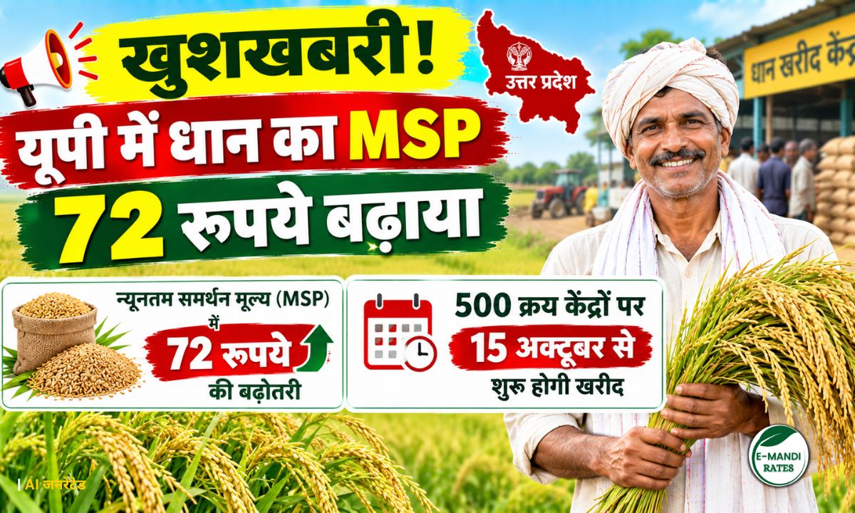UP Paddy MSP Hike