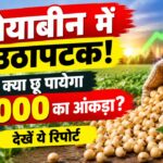 सोयाबीन भाव में उठापटक, कीर्ति प्लांट पर 6750 तक गिरकर शाम को 6900 पर लौटा, अब आगे क्या?