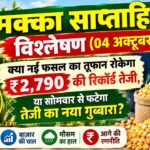 मक्का मंडी भाव में रिकॉर्ड तेजी, सूखा माल ₹2,790 तो गीला मक्का ₹1,650 पर, देखें साप्ताहिक रिपोर्ट