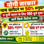 योगी सरकार गाय खरीदने पर 50% सब्सिडी व मुर्गी पालन के लिए 100 चूजे मुफ्त देगी, जानें किसे मिलेगा लाभ