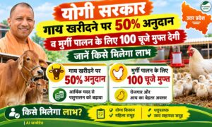 योगी सरकार गाय खरीदने पर 50% सब्सिडी व मुर्गी पालन के लिए 100 चूजे मुफ्त देगी, जानें किसे मिलेगा लाभ