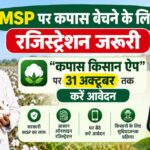MSP पर कपास बेचने के लिए कपास किसान ऐप पर रजिस्ट्रेशन जरूरी...आखिरी तारीख 31 अक्टूबर