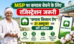 MSP पर कपास बेचने के लिए कपास किसान ऐप पर रजिस्ट्रेशन जरूरी…आखिरी तारीख 31 अक्टूबर
