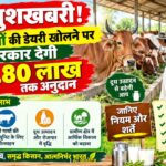 देसी गायों की डेयरी खोलने पर सरकार देगी ₹11.80 लाख तक अनुदान, जानिए नियम और शर्तें