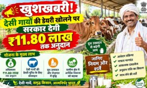 देसी गायों की डेयरी खोलने पर सरकार देगी ₹11.80 लाख तक अनुदान, जानिए नियम और शर्तें