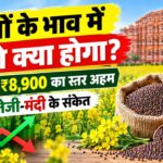 सरसों भाव में तेजी पर लगेगा ब्रेक या फिर बनेगा नया रिकॉर्ड? जाने