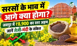 सरसों भाव में तेजी पर लगेगा ब्रेक या फिर बनेगा नया रिकॉर्ड? जाने
