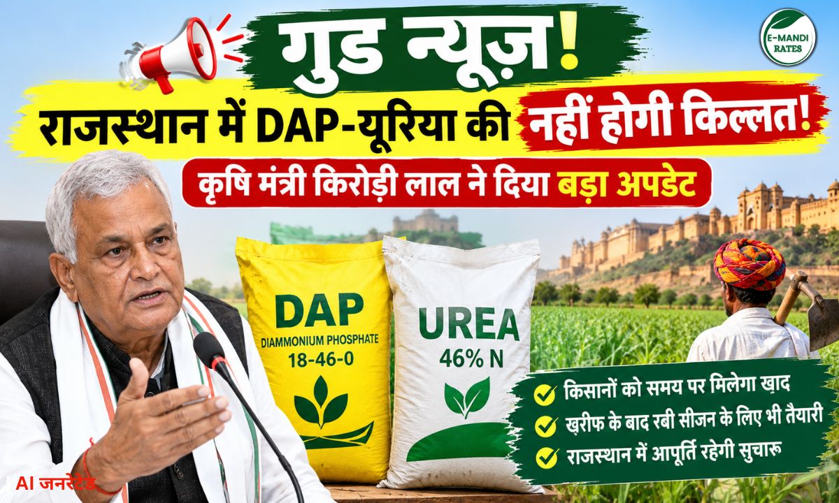 Rajasthan dap urea stock rabi season fertilizer supply