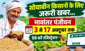 सोयाबीन किसानों के लिए जरूरी खबर…भावांतर पंजीयन 3 से 17 अक्टूबर तक, ऐसे करें रजिस्ट्रेशन