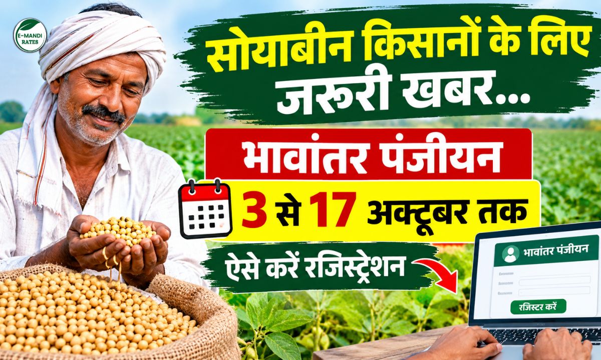 soybean bhavantar panjiyan mp